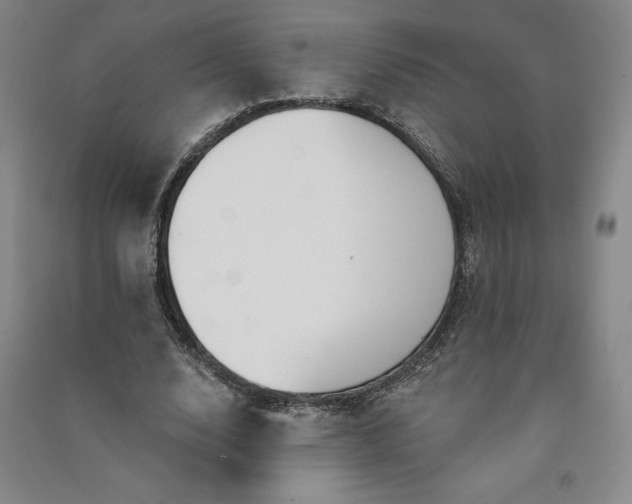 X0000091090632200708201458