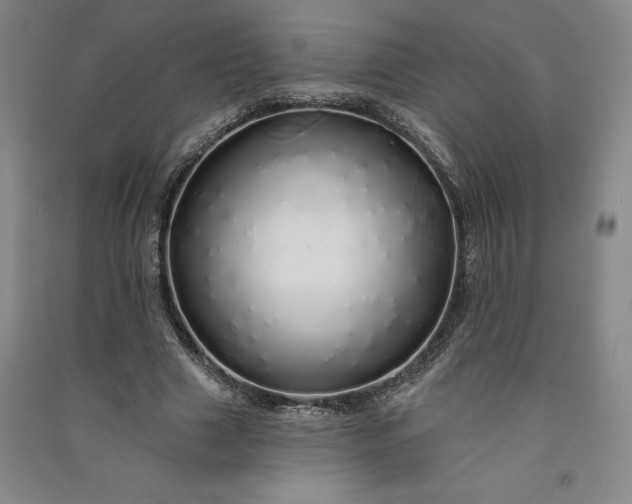 X0000091090633200708201458