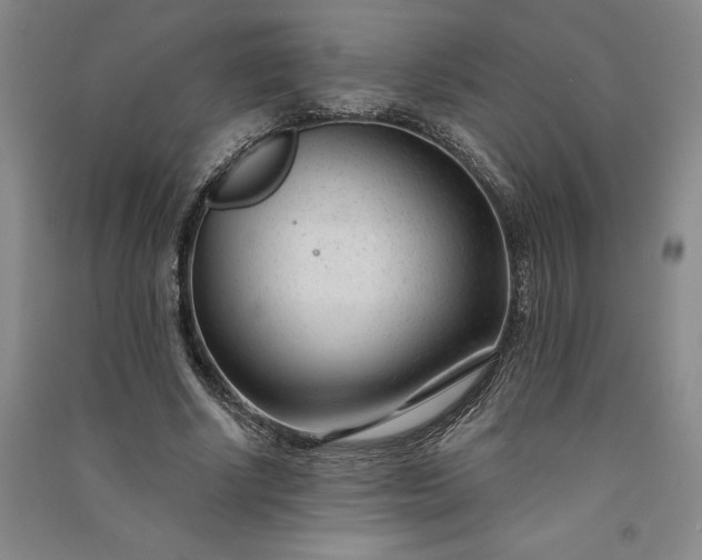 X0000091090634200708201458