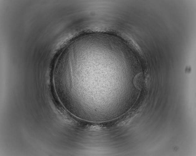 X0000091090635200708201458