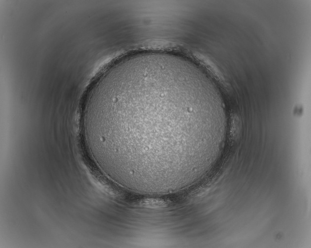 X0000091090636200708201458