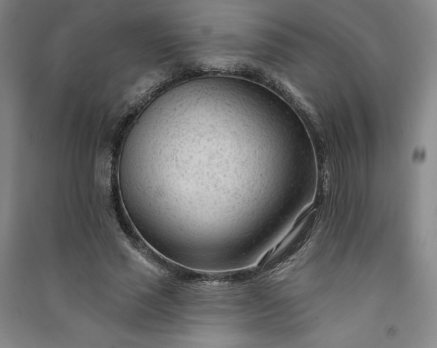 X0000091090637200708201458