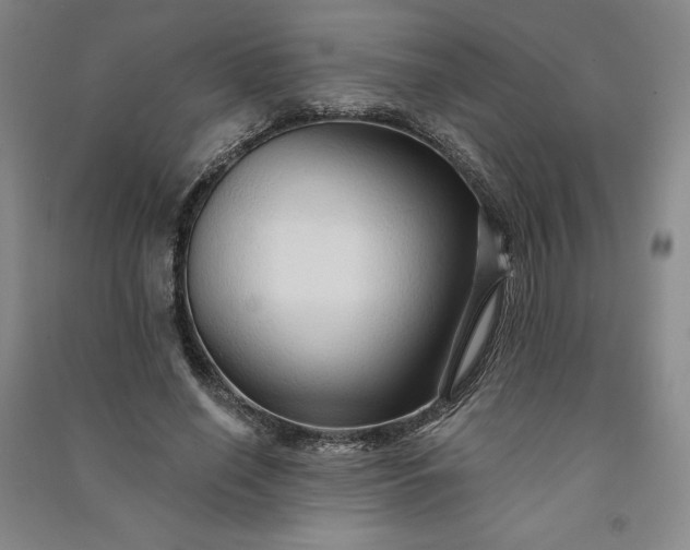 X0000091090638200708201458