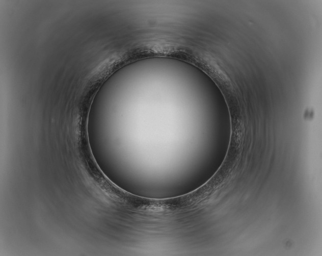 X0000091090639200708201458