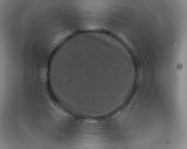 X0000091090640200708201458