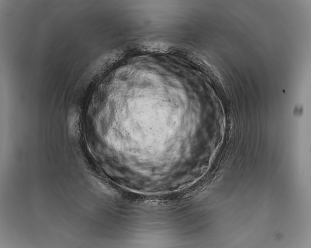 X0000091090641200708201458