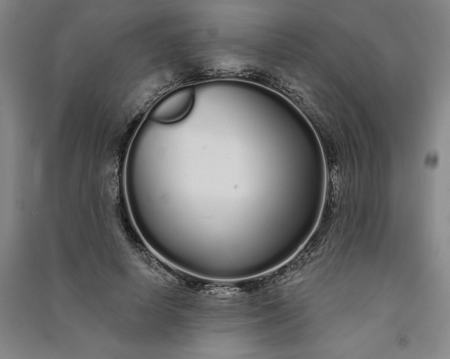 X0000091090642200708201458