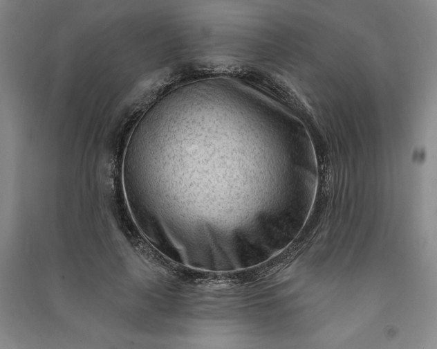 X0000091090643200708201458