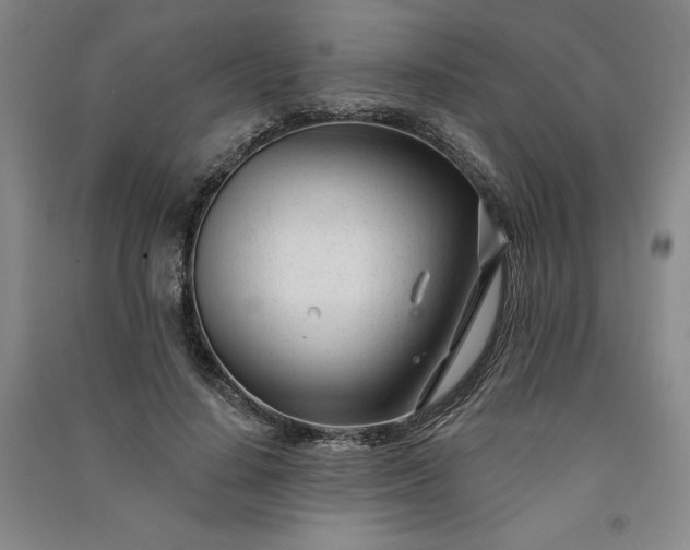 X0000091090644200708201458