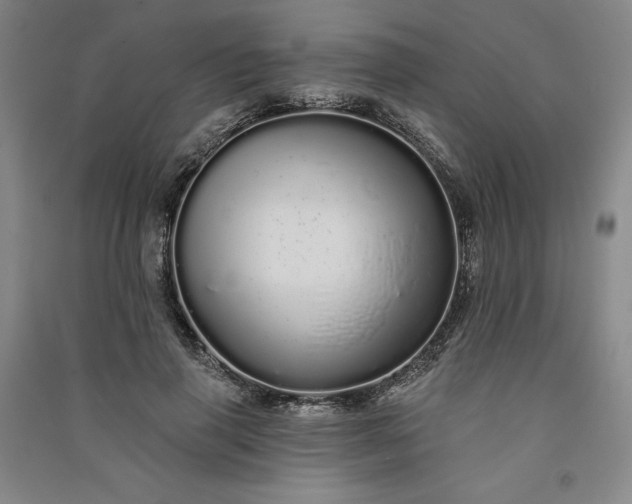 X0000091090645200708201458