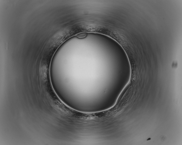 X0000091090646200708201458