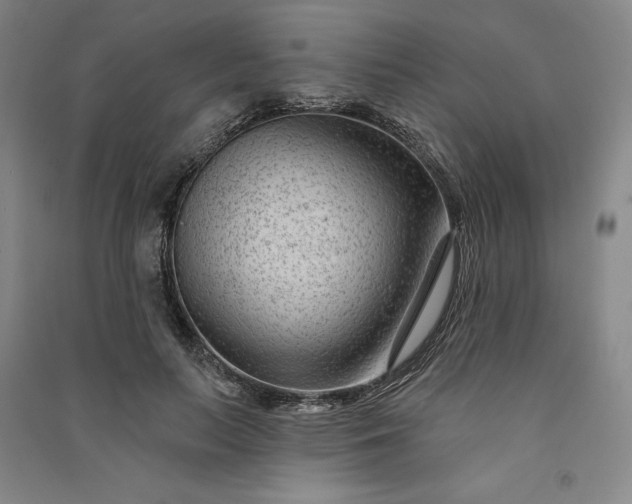 X0000091090647200708201458