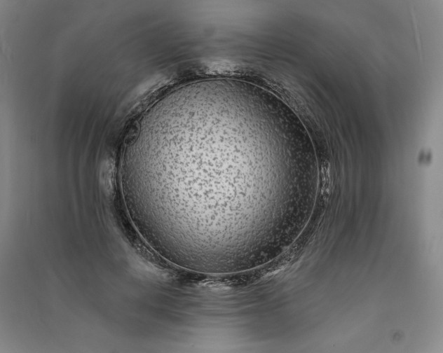 X0000091090648200708201458