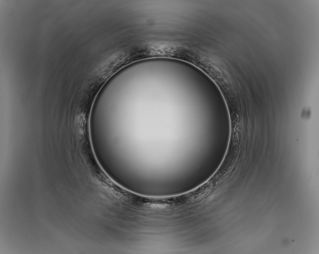 X0000091090649200708201458