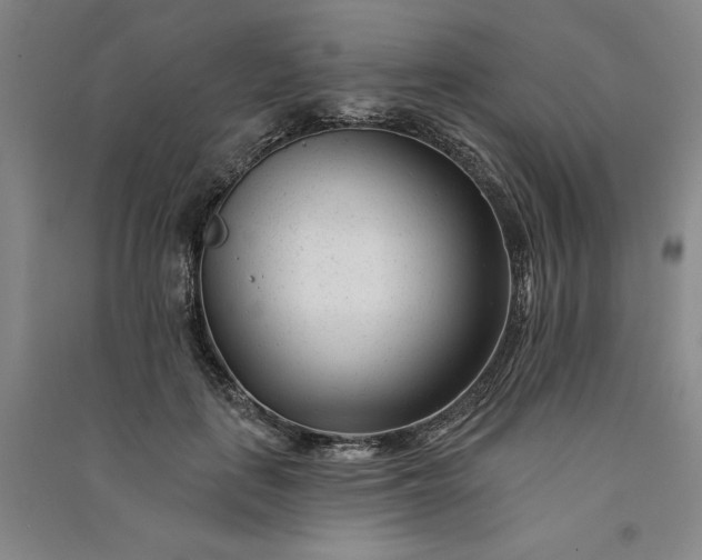 X0000091090651200708201458