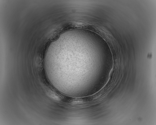 X0000091090653200708201458