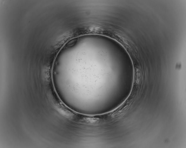 X0000091090654200708201458