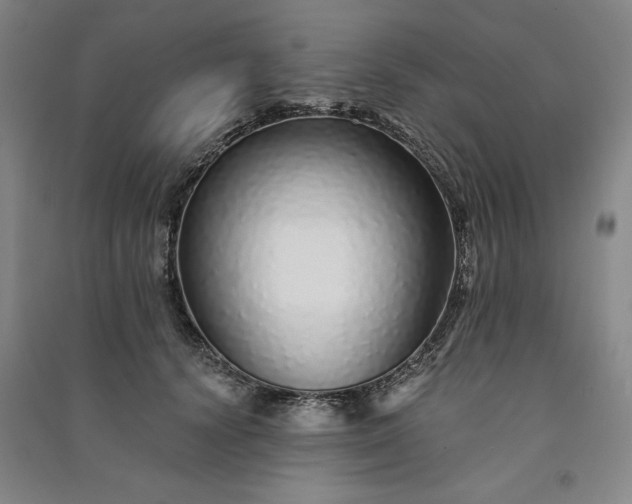 X0000091090656200708201458