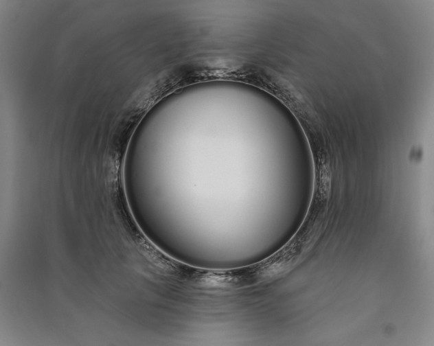 X0000091090657200708201458