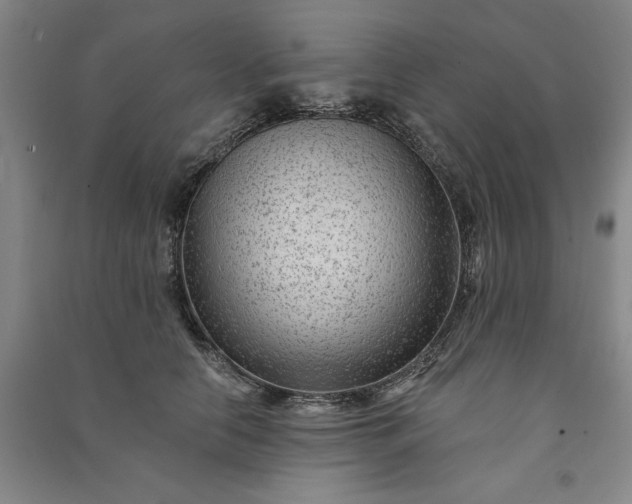 X0000091090658200708201458