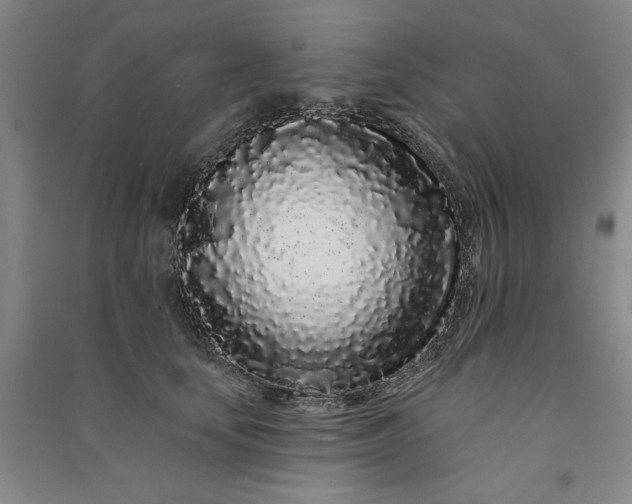 X0000091090659200708201458