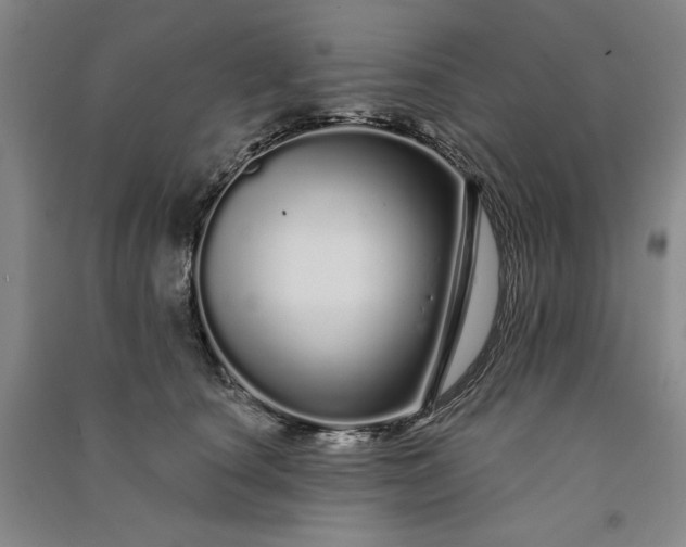 X0000091090660200708201458