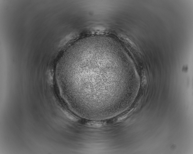 X0000091090661200708201458