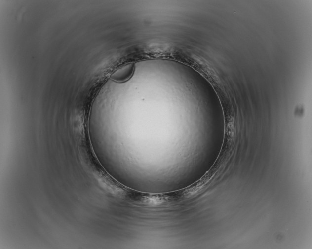 X0000091090662200708201458