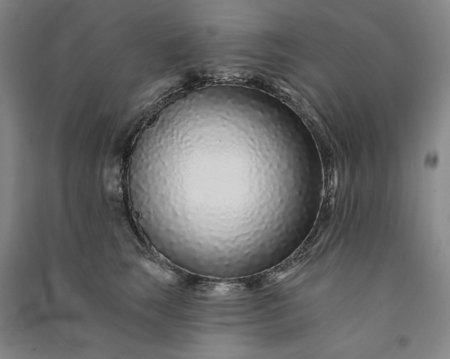 X0000091090663200708201458