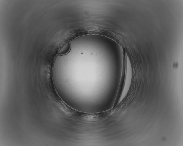 X0000091090664200708201458