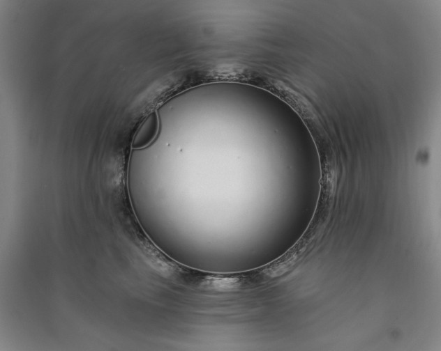 X0000091090665200708201458