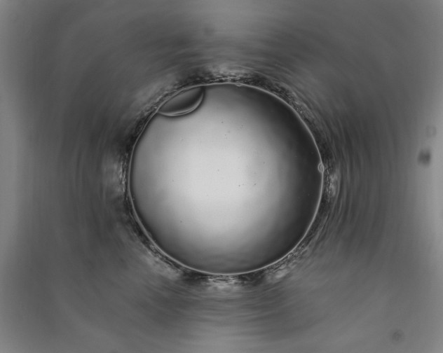 X0000091090666200708201458