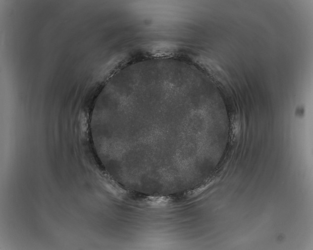 X0000091090667200708201458