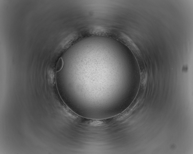 X0000091090669200708201458