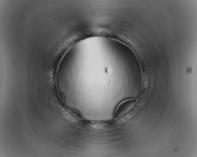 X0000091090670200708201459