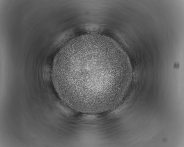 X0000091090671200708201459