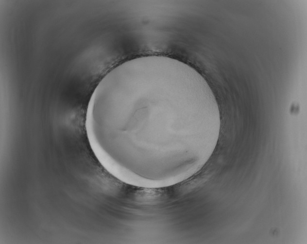 X0000091090672200708201459