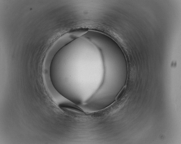 X0000091090673200708201458