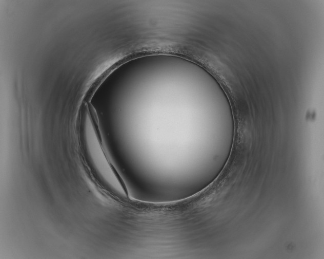 X0000091090674200708201458