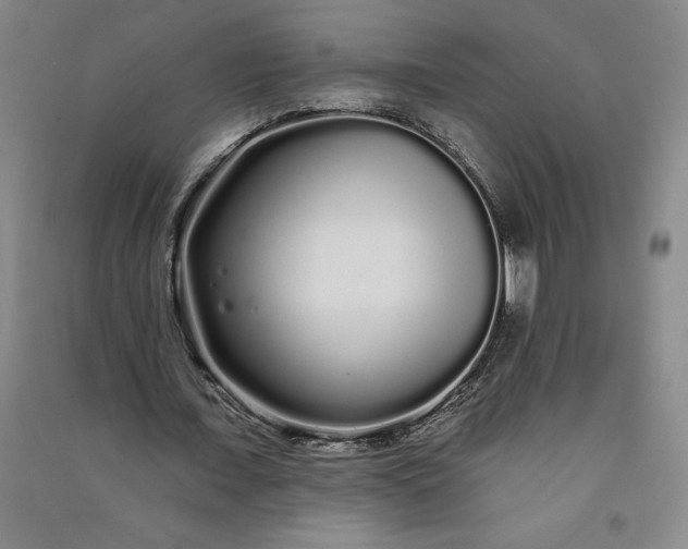 X0000091090675200708201458