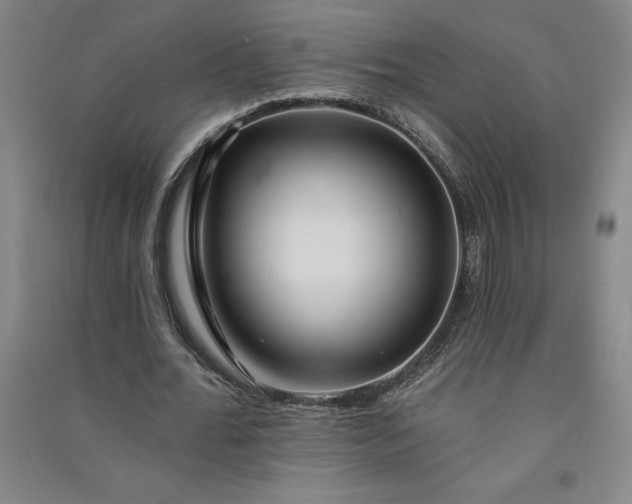 X0000091090676200708201458