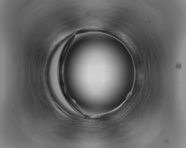 X0000091090677200708201458