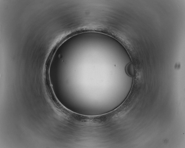 X0000091090678200708201458