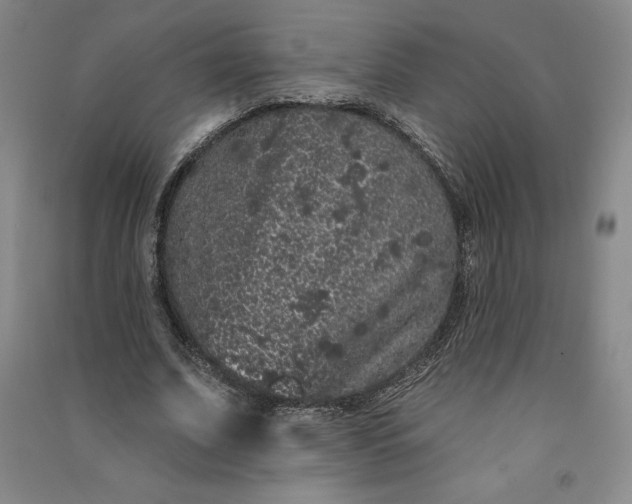 X0000091090679200708201458