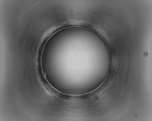 X0000091090682200708201458