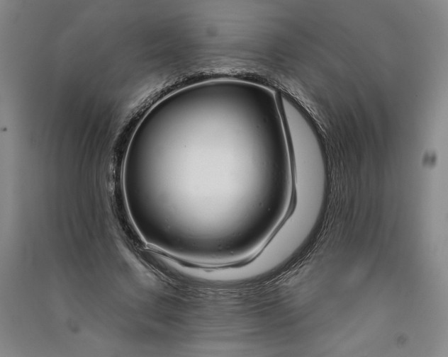 X0000091090683200708201458