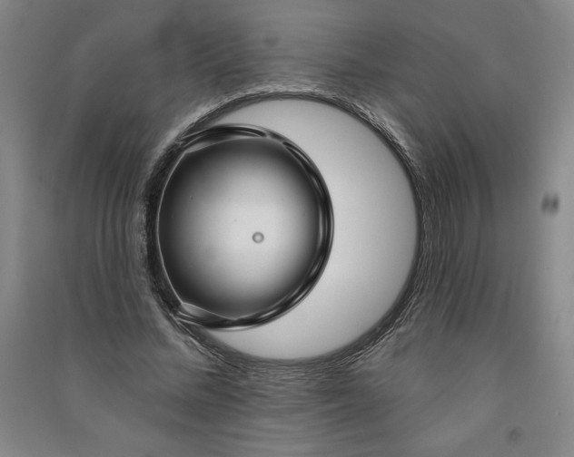 X0000091090684200708201458