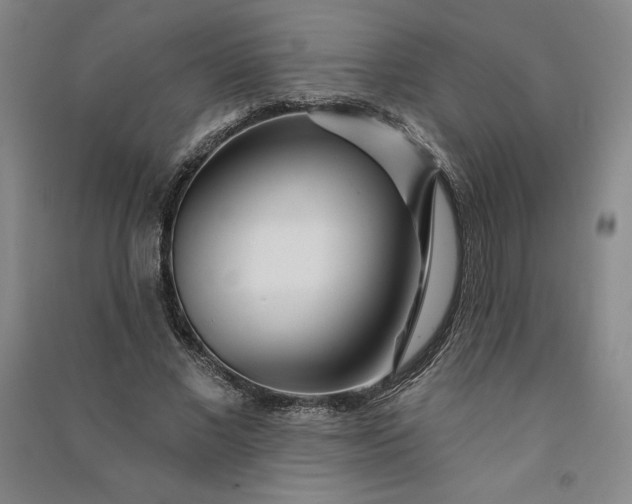 X0000091090685200708201458