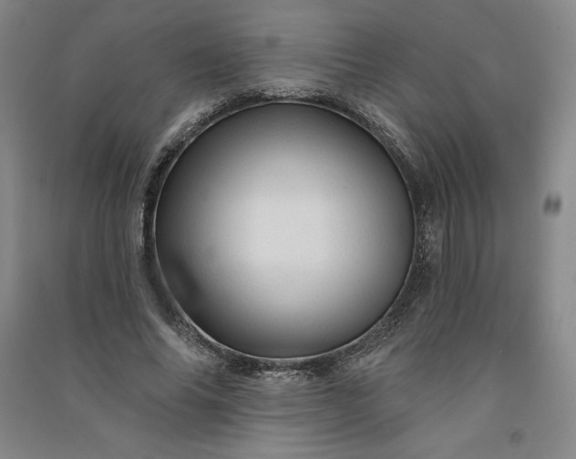 X0000091090686200708201458