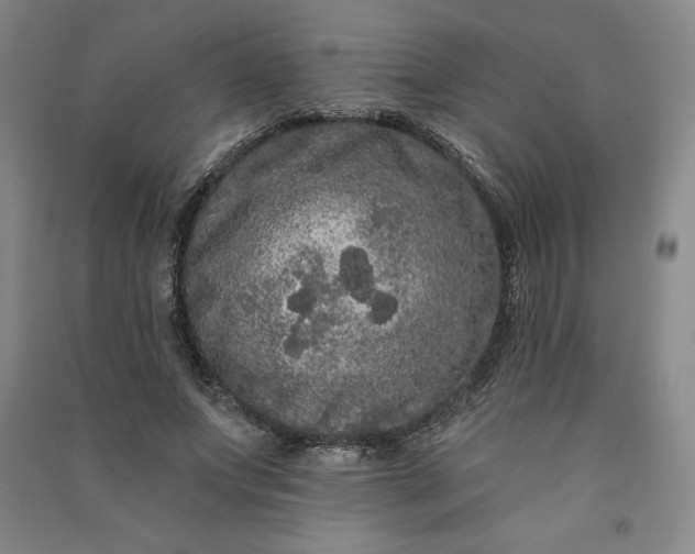 X0000091090687200708201458